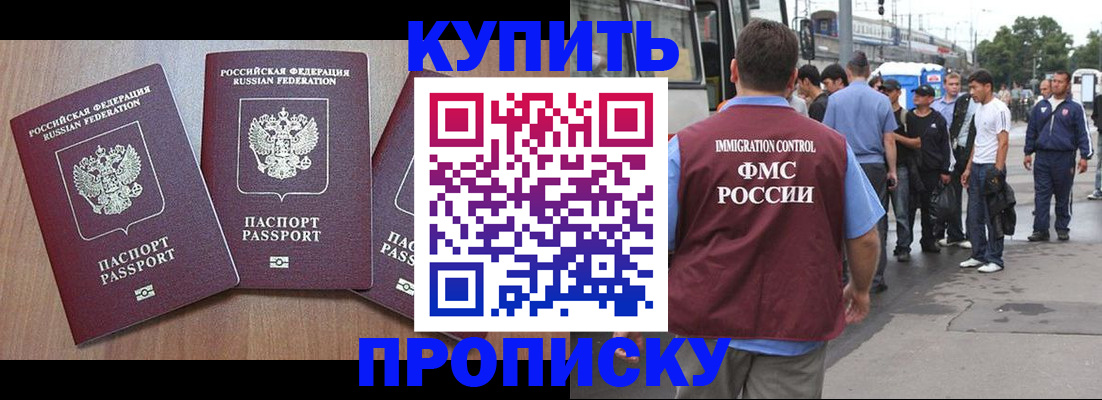 прописка 2025 в Михайловке